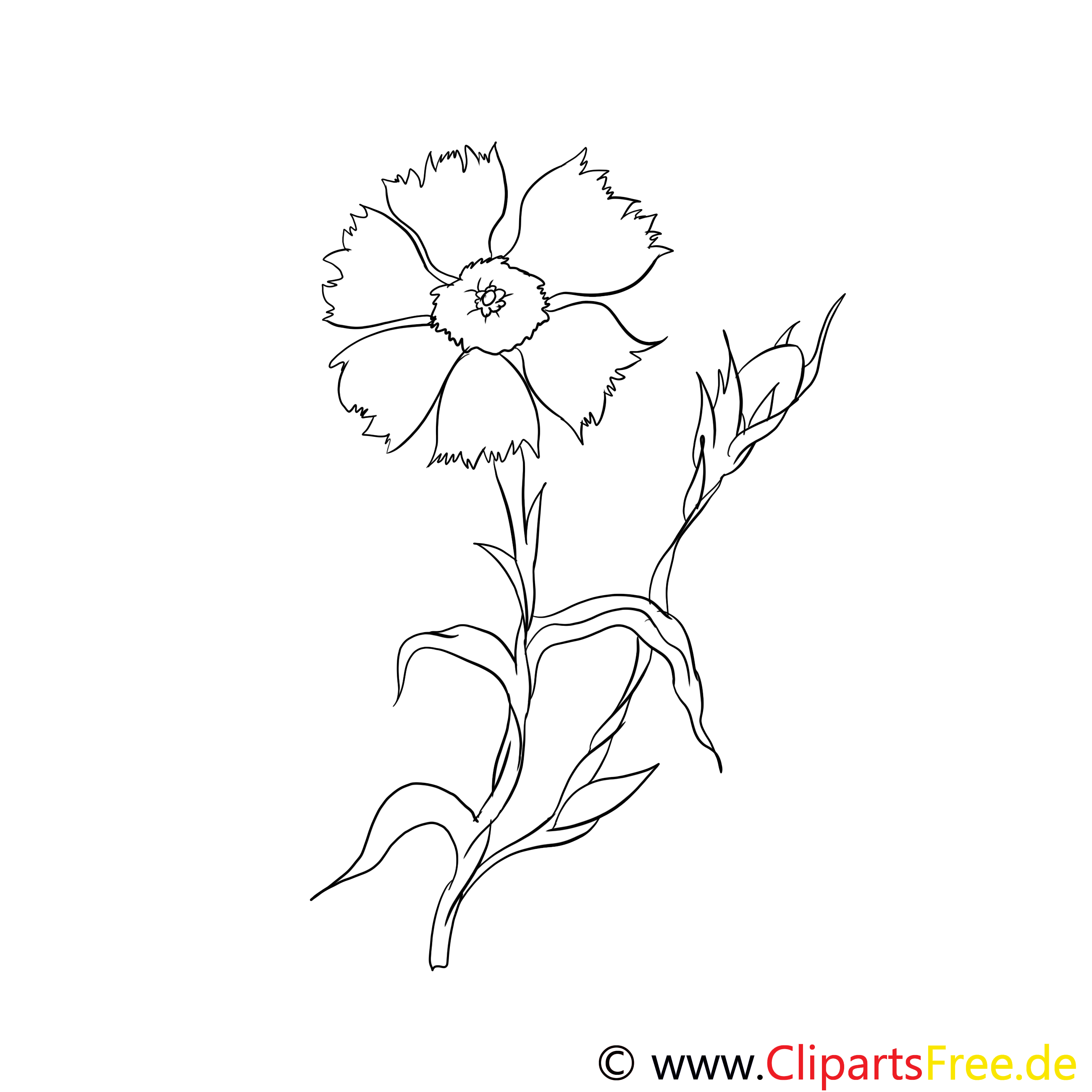 Clip art gratuit fleurs à colorier
