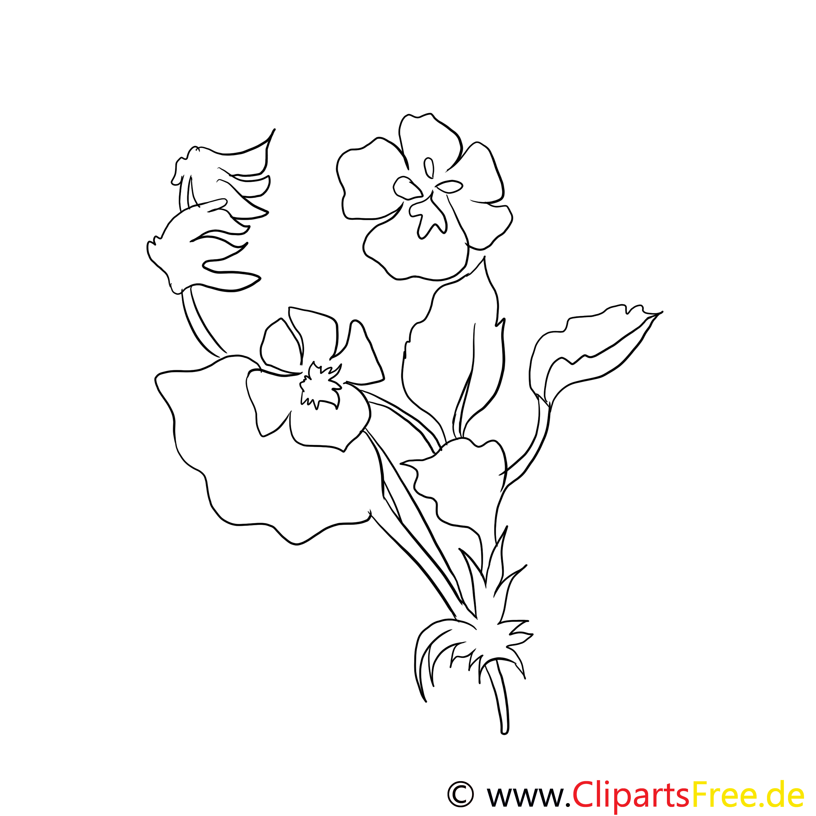 Coloriage illustration fleurs  à télécharger