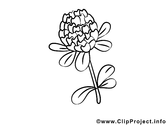 Illustration fleurs gratuit à imprimer