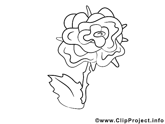 Rose dessin gratuit – Fleurs à colorier