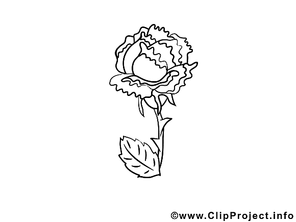 Rose image – Coloriage fleurs illustration