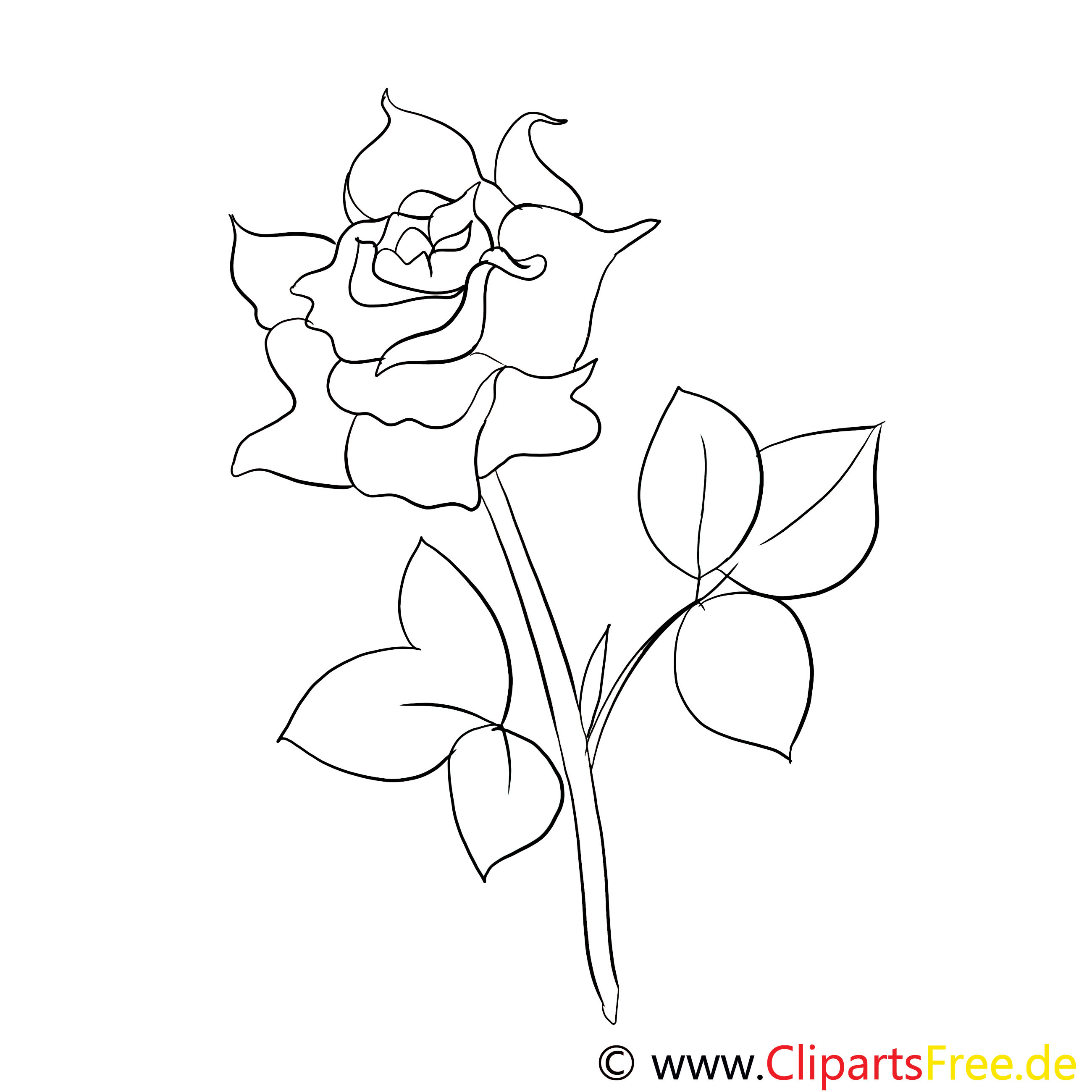 Rose images gratuites – Fleurs à colorier
