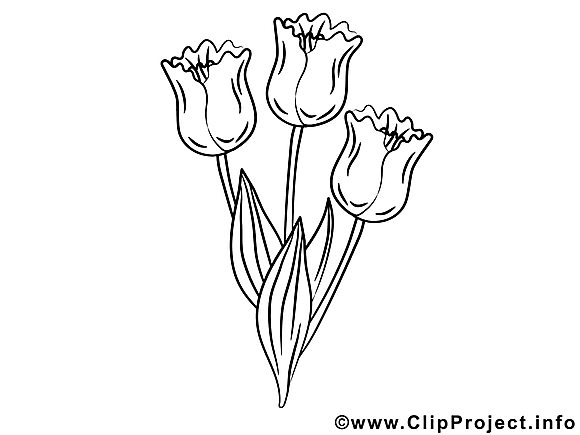 Tulipes Dessin Fleurs Gratuits A Imprimer Fleurs Coloriages Dessin Picture Image Graphic Clip Art Telecharger Gratuit