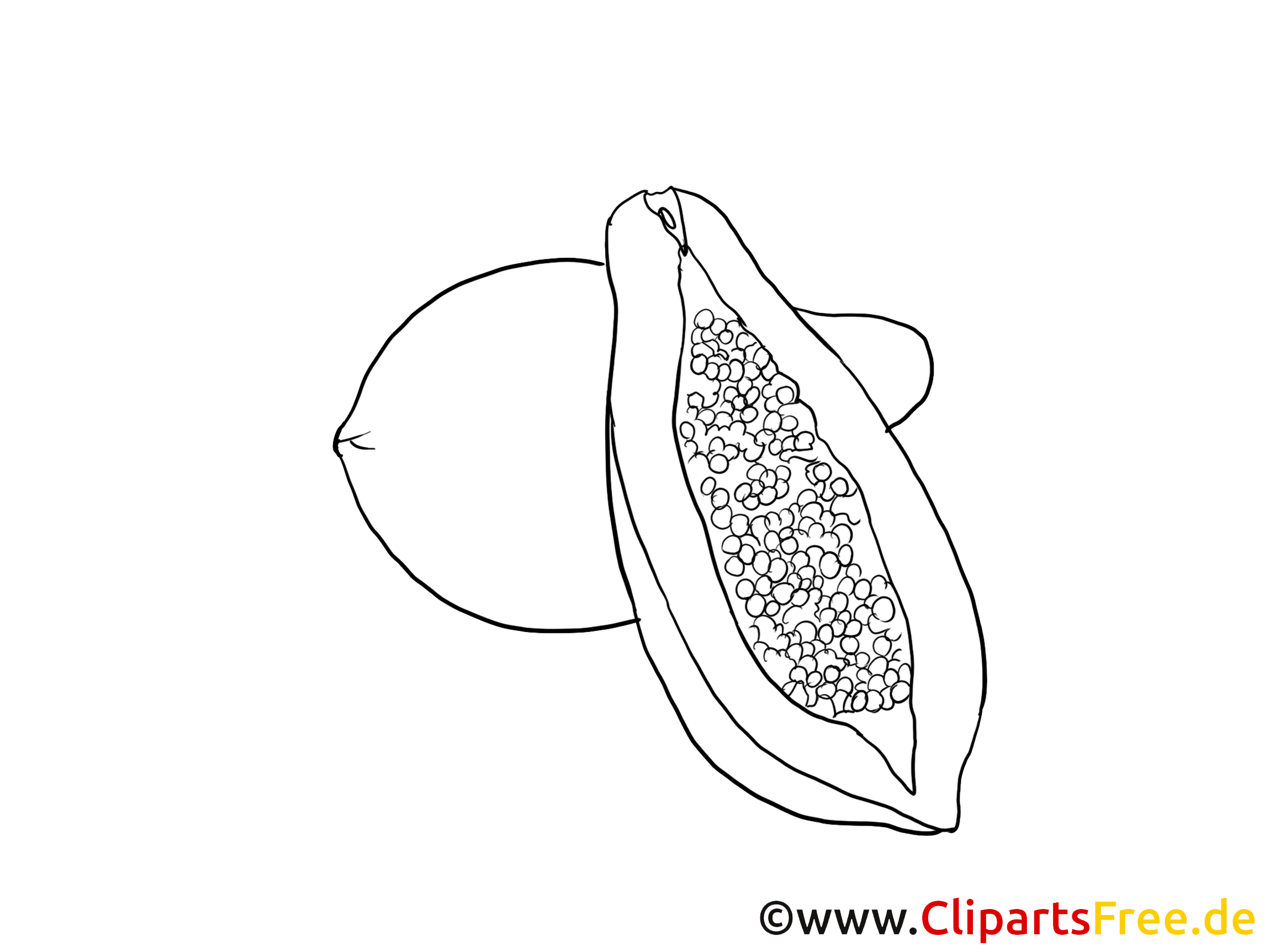 Avocat dessin – Coloriage fruits à télécharger