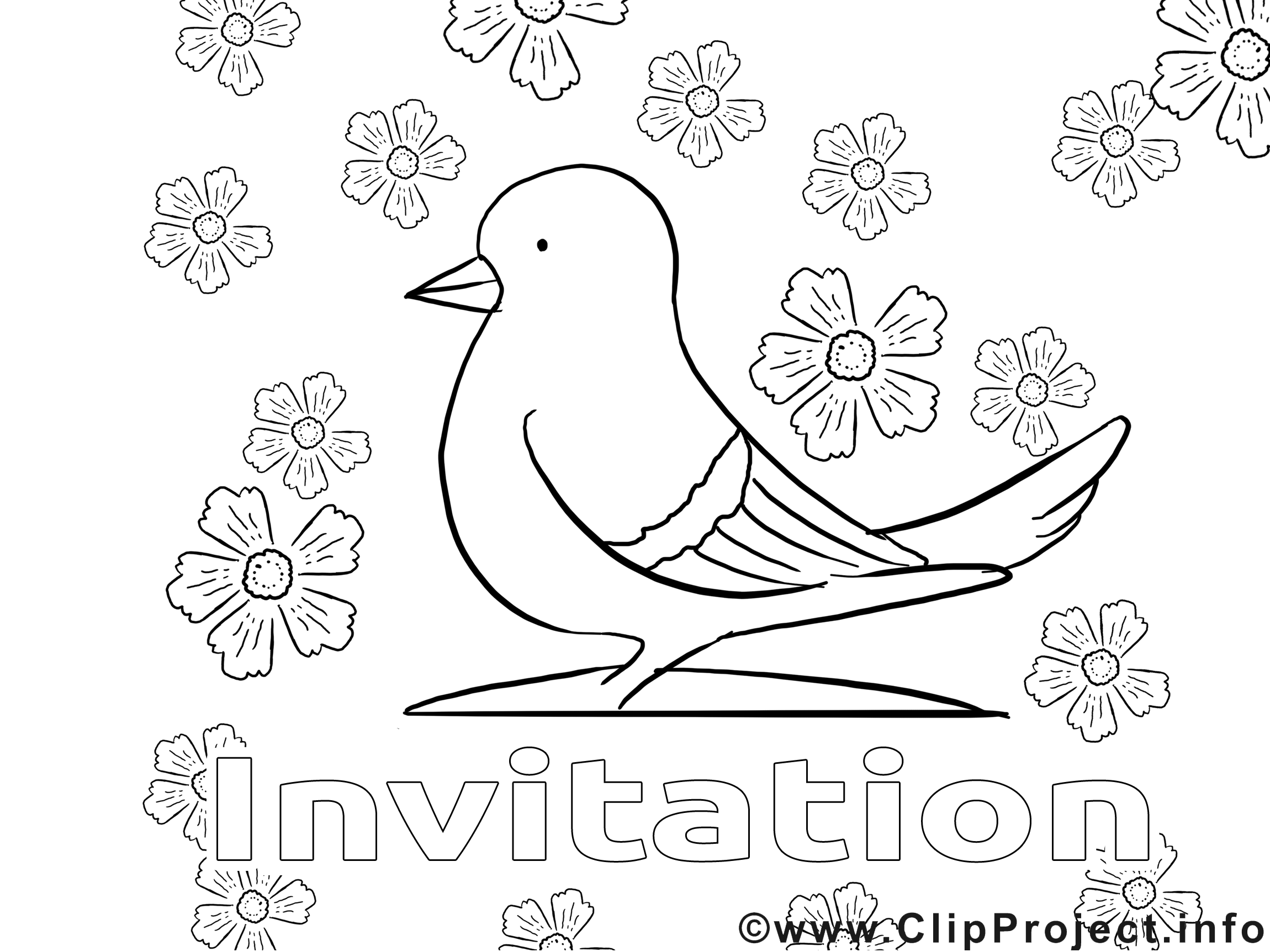 Pigeon image à télécharger – Invitations à colorier