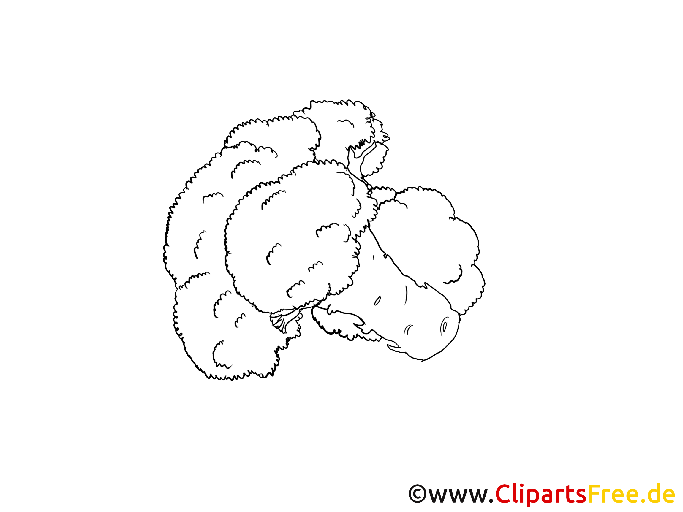 Chou-fleur clipart – Légumes dessins à colorier