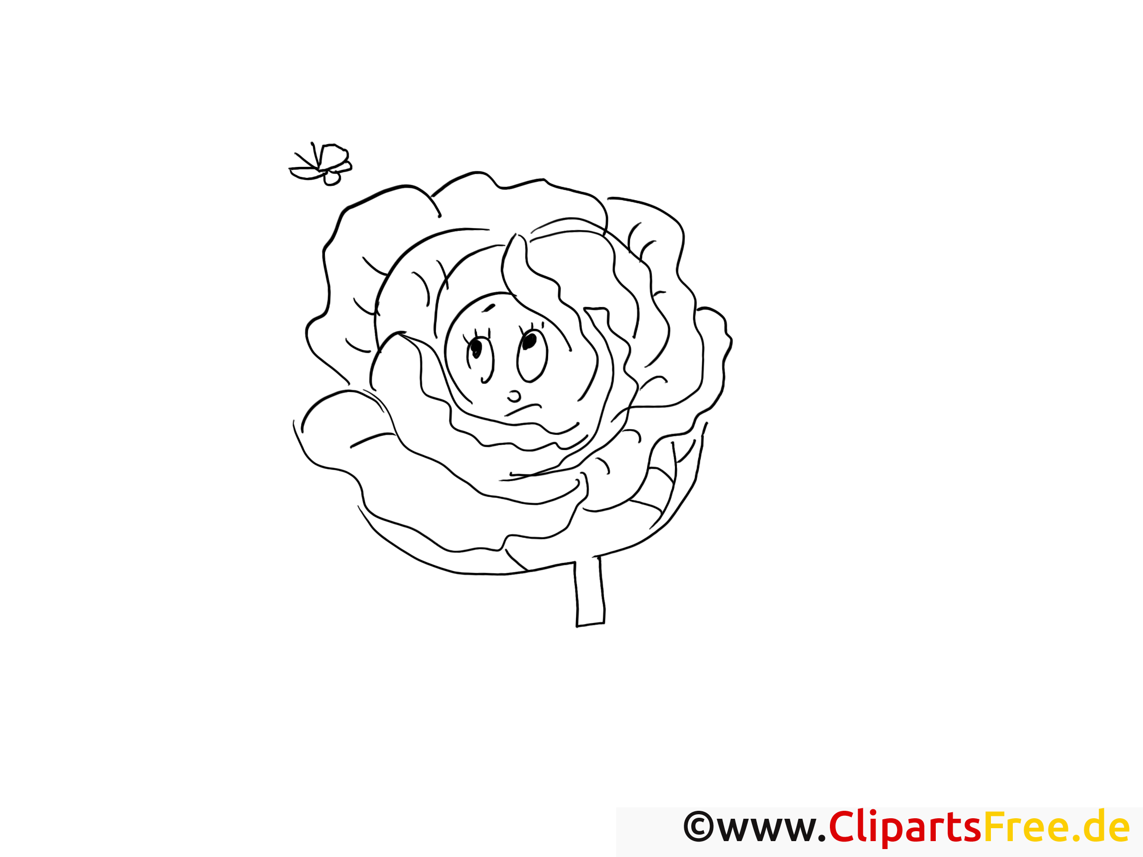 Chou clip art gratuit – Légumes à colorier