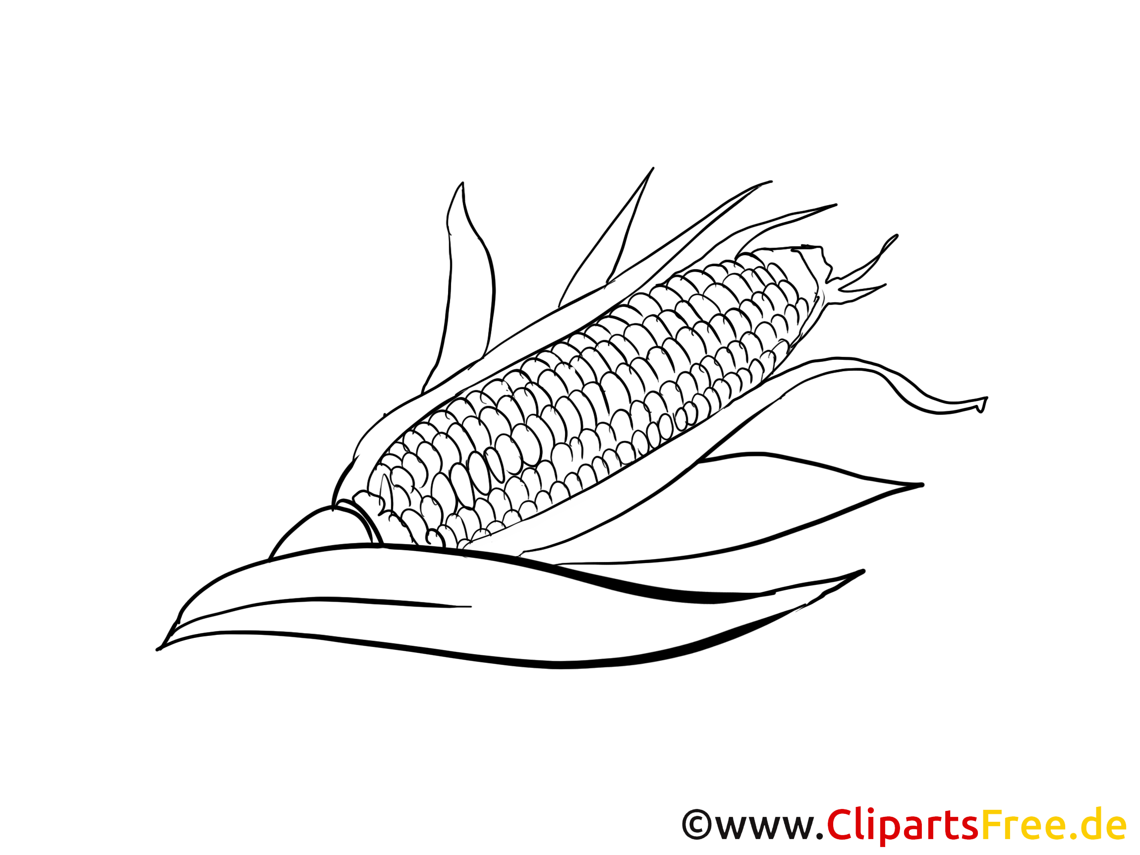 Maïs images gratuites – Légumes à colorier