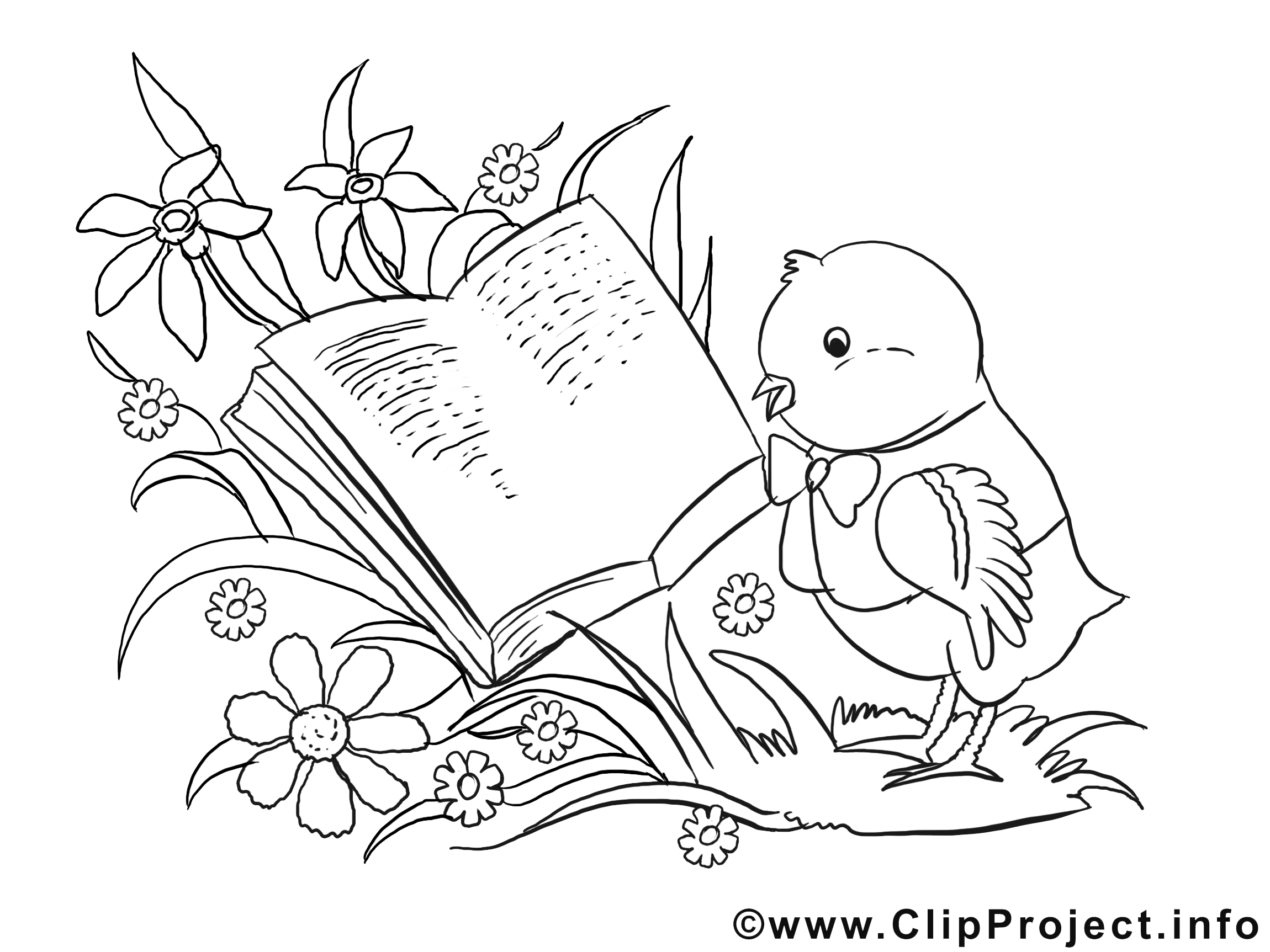 Livre oiseau image – Coloriage pâques illustration