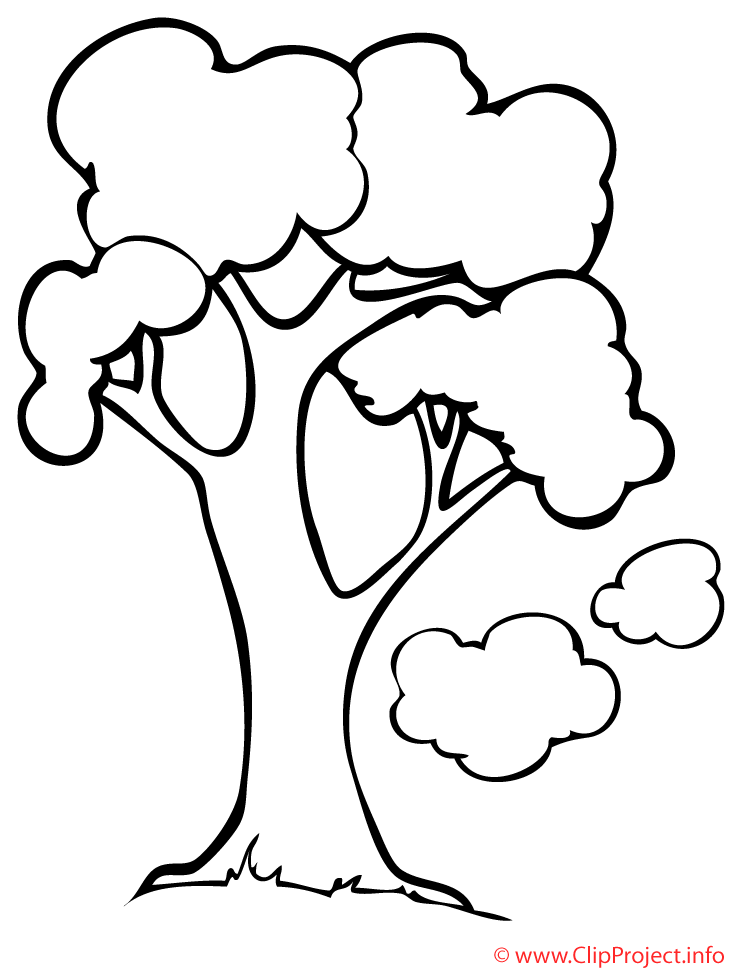 Images gratuites arbre – Printemps à colorier