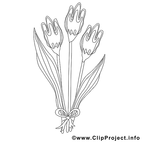 Tulipes dessin gratuit – Printemps à colorier