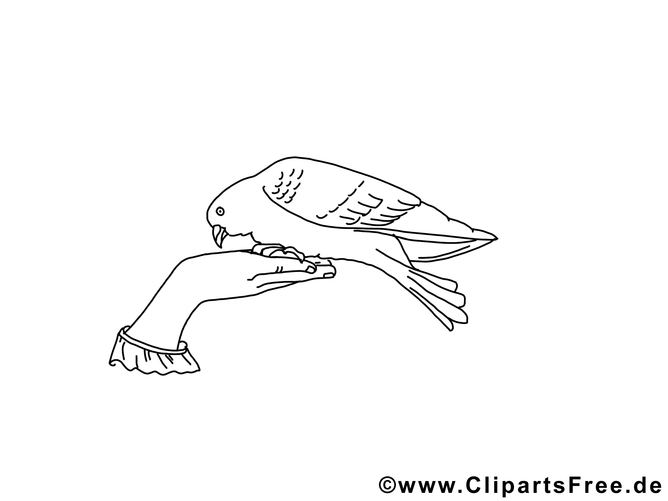 Clip art colombe – Pentecôte image à colorier