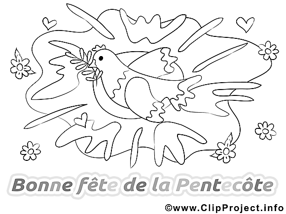 Coloriage colombe illustration à télécharger
