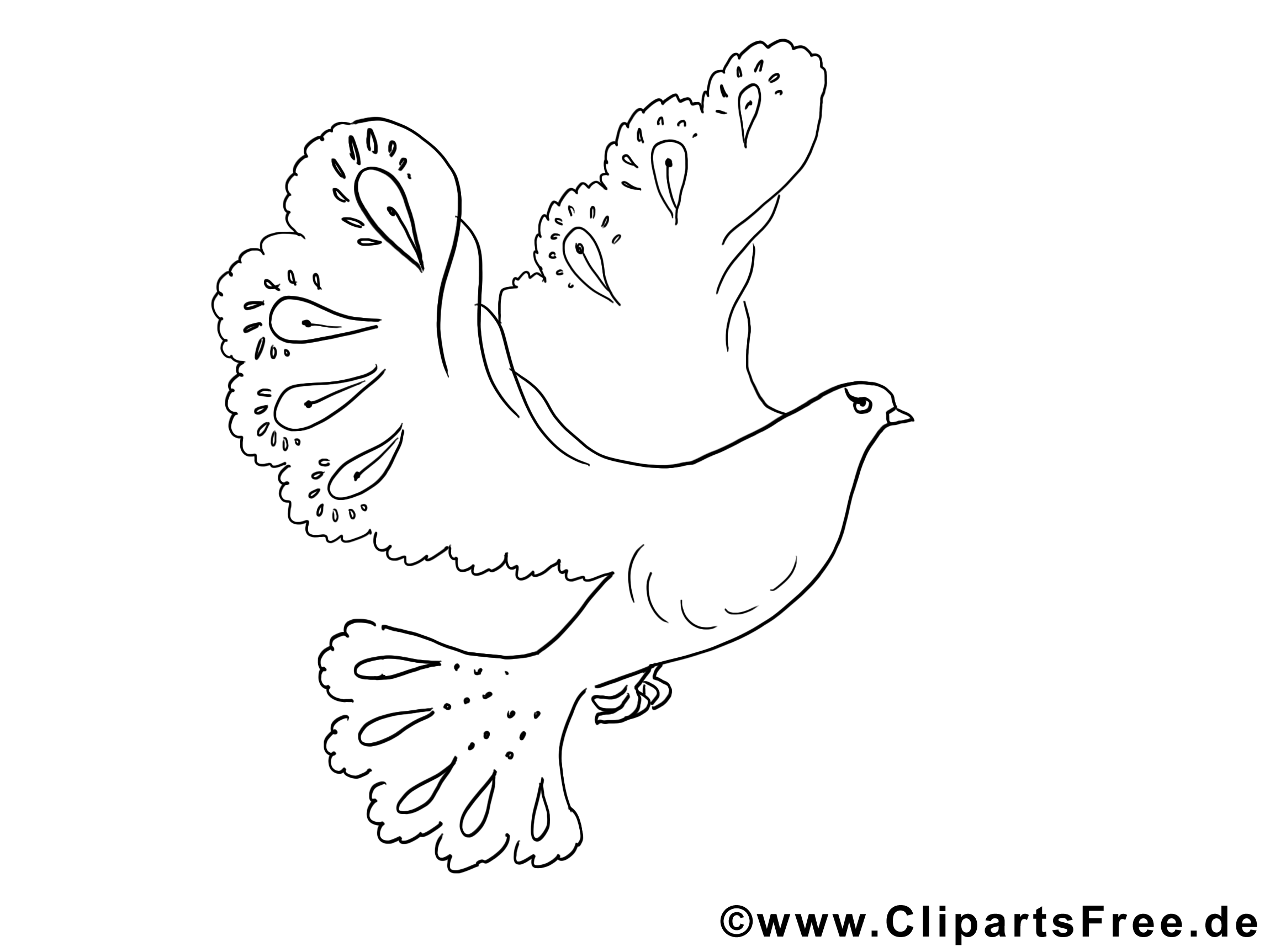 Dessin colombe – Coloriage pentecôte à télécharger