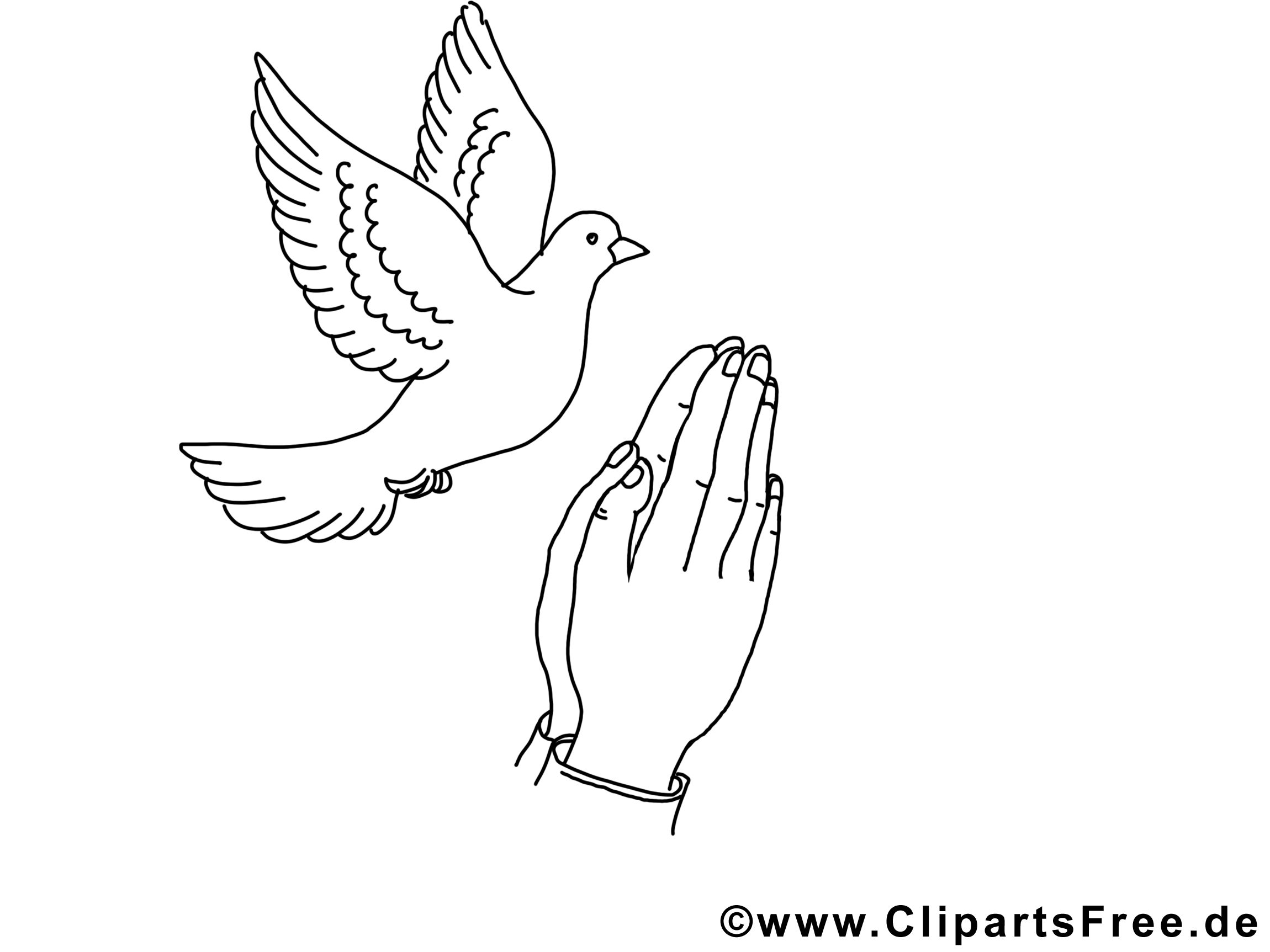 Dessin gratuit colombe – Pentecôte à colorier
