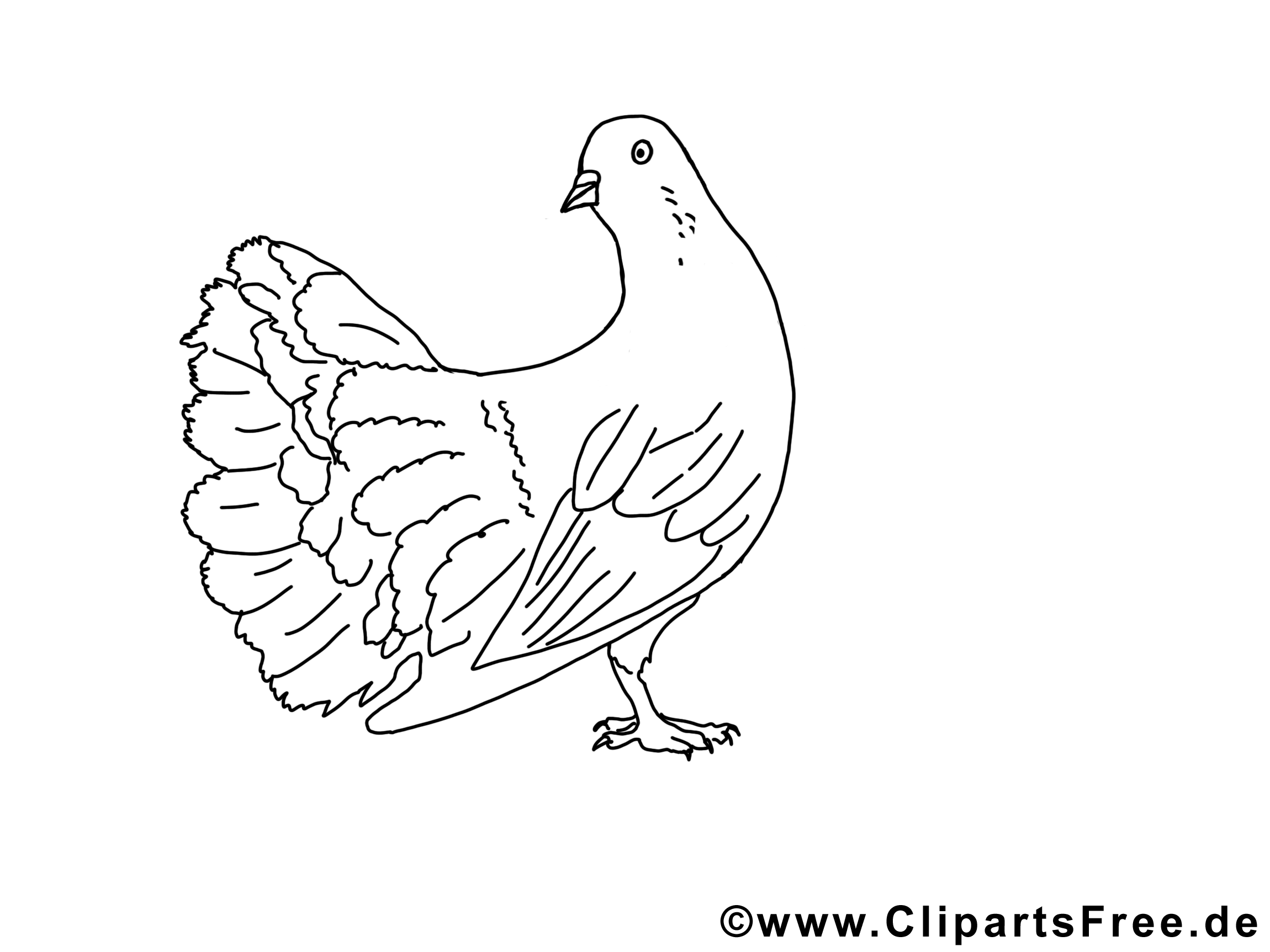 Dessins gratuits colombe – Pentecôte à colorier
