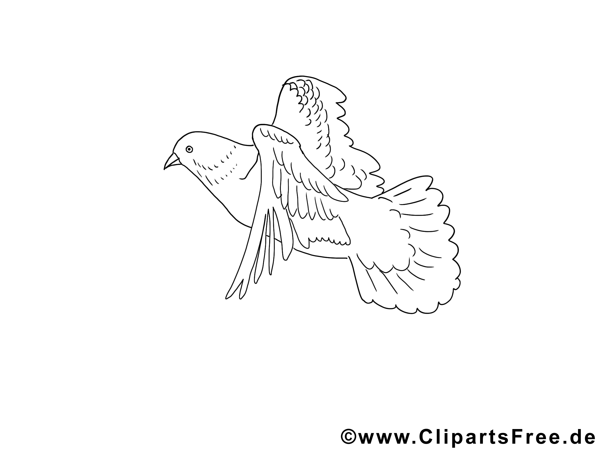 Image à télécharger colombe – Pentecôte à colorier