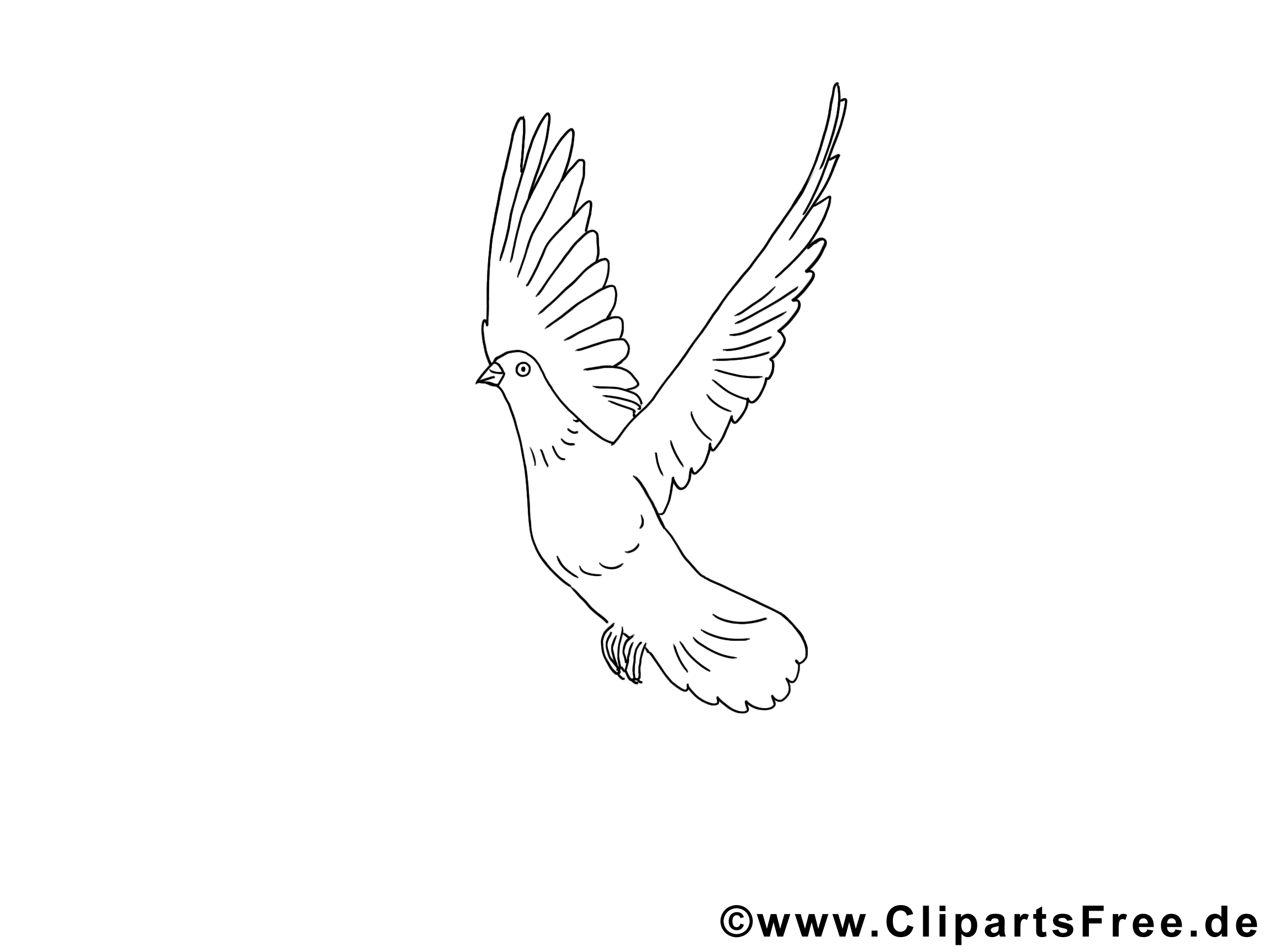 Images gratuites colombe – Pentecôte à colorier
