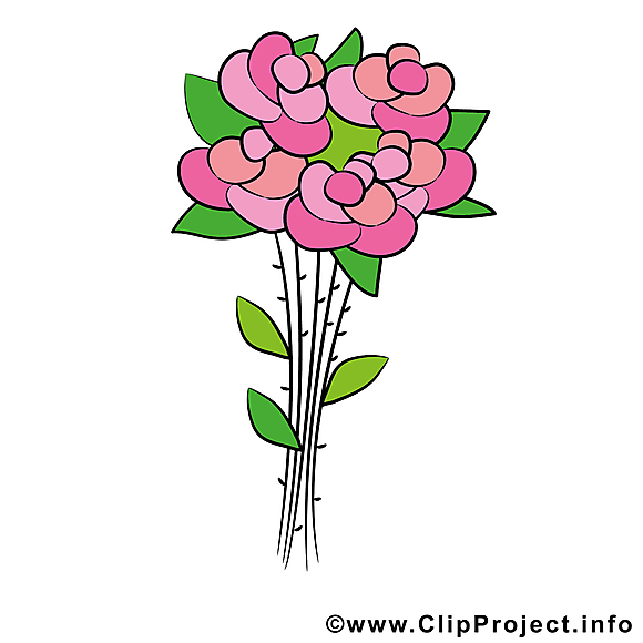 Roses dessin - Fleurs cliparts à télécharger