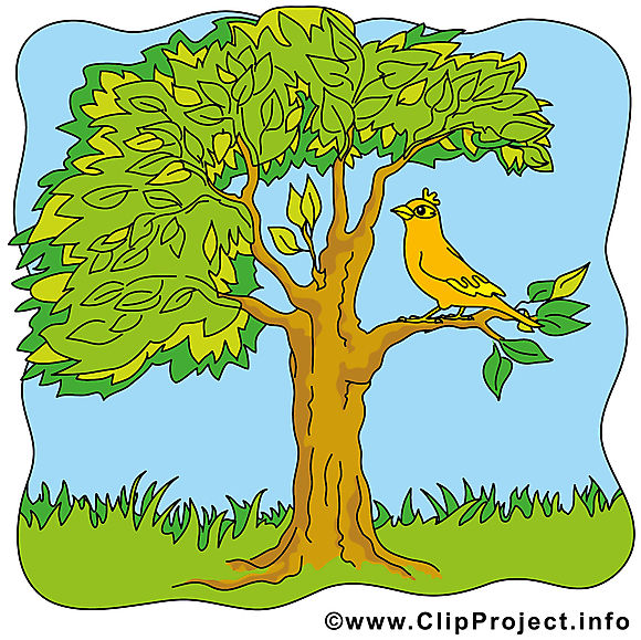 Oiseau arbre images gratuites – Été clipart