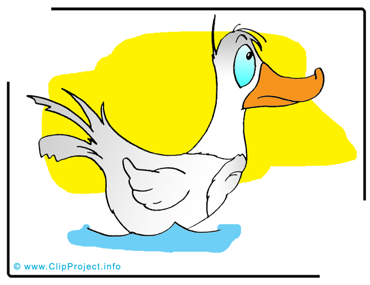 Canard clip arts gratuits – Ferme illustrations