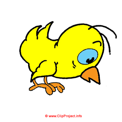 Clipart gratuit poulet