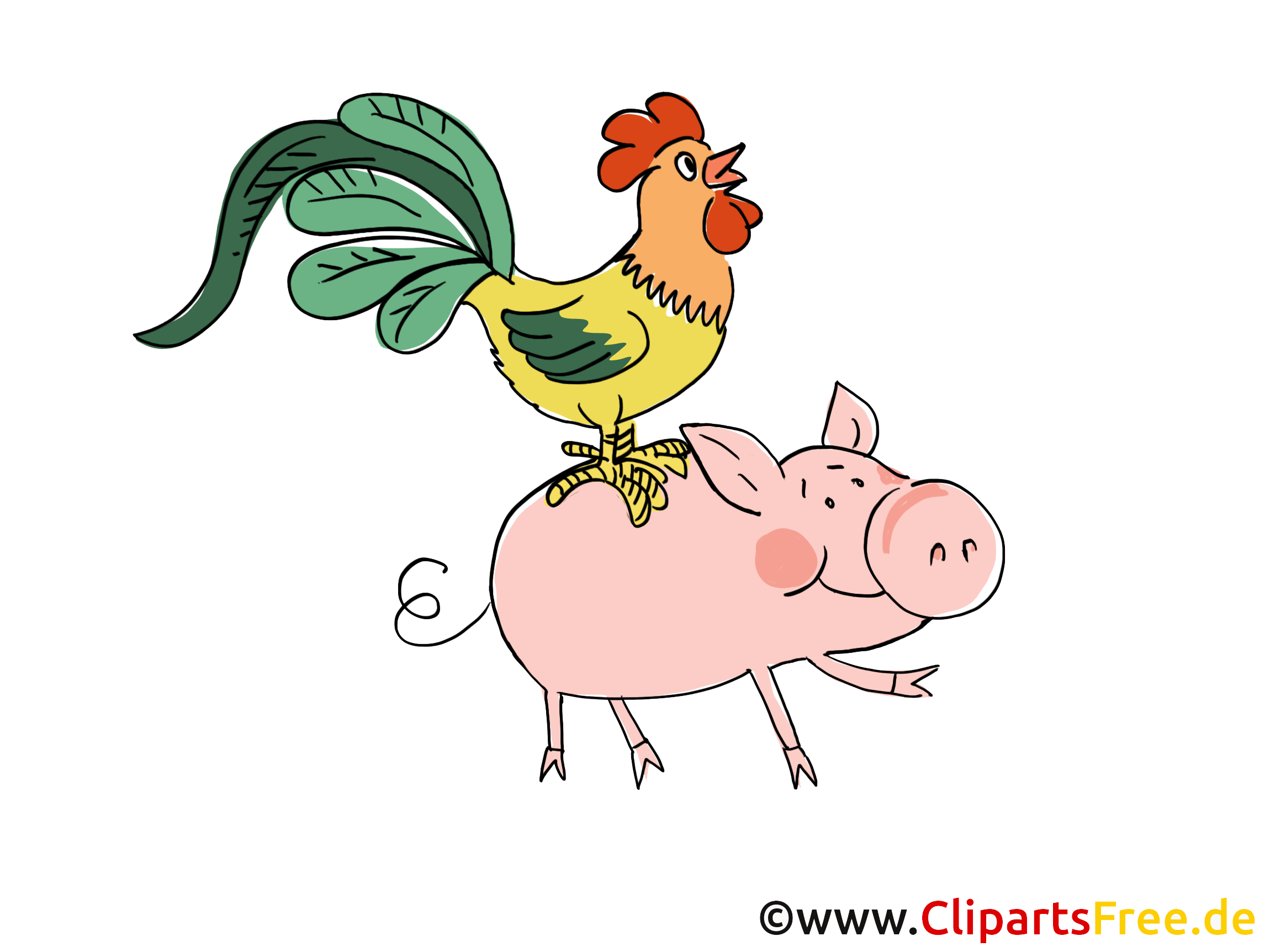 Cochon coq images – Ferme dessins gratuits