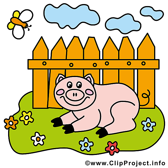 Cochon dessins gratuits – Ferme clipart