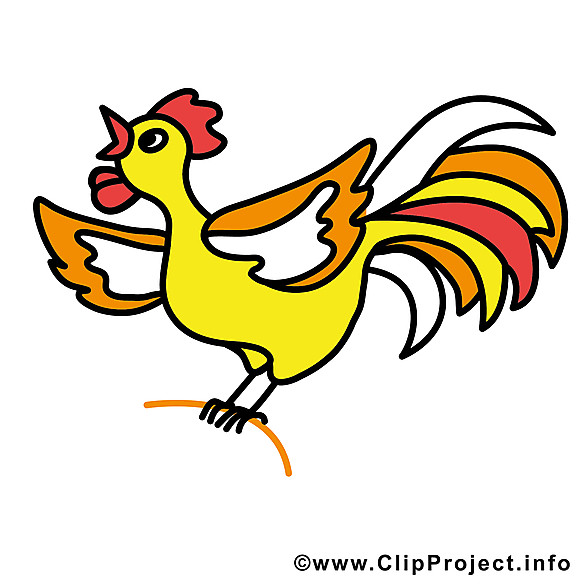 Coq dessins gratuits – Ferme clipart