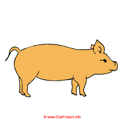 Porc clipart gratuit