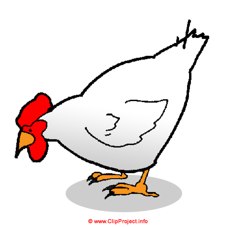 Poulet clipart