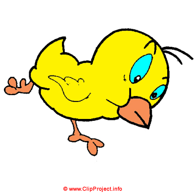 Poussin clipart gratuit