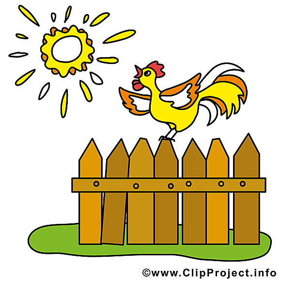 Soleil coq image gratuite – Ferme clipart