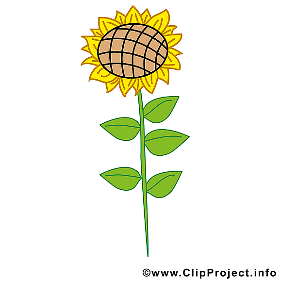 Tournesol clipart gratuit – Ferme images