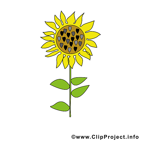 Tournesol image à télécharger – Ferme clipart