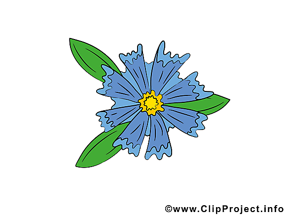 Bleuet clip art gratuit – Fleurs dessin