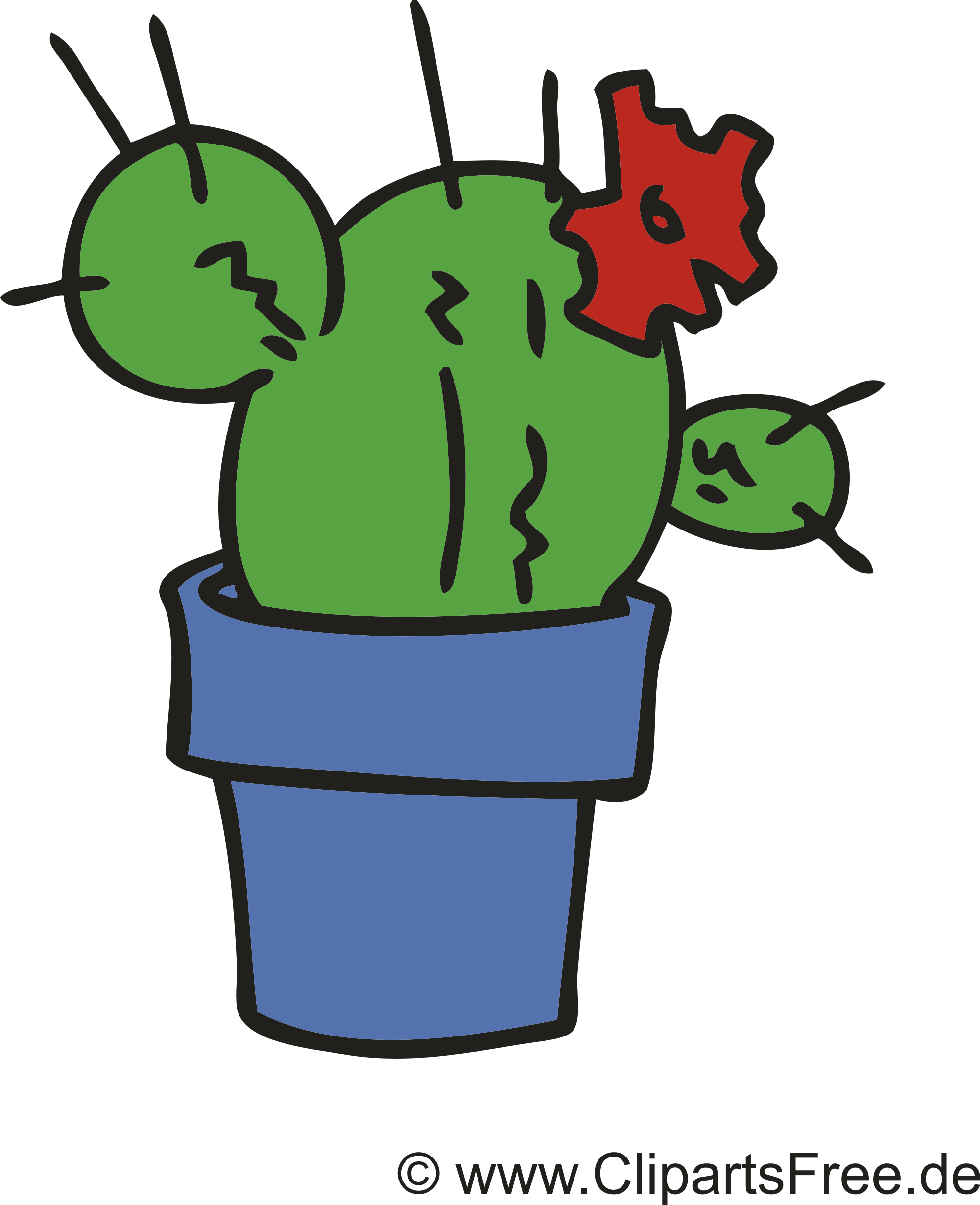 Cactus clipart gratuit – Fleurs images