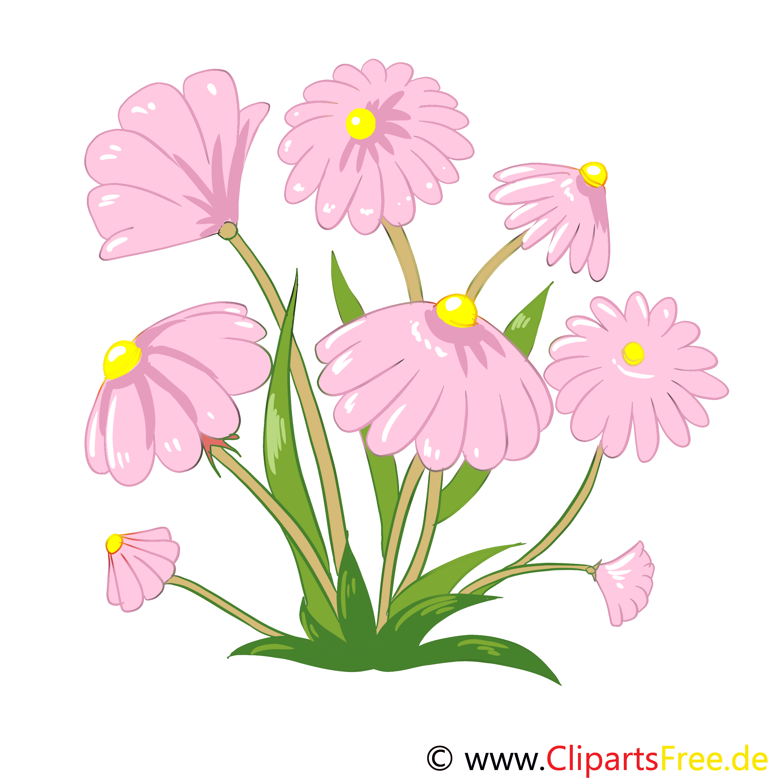 Champ de fleurs images gratuites – Fleurs clipart