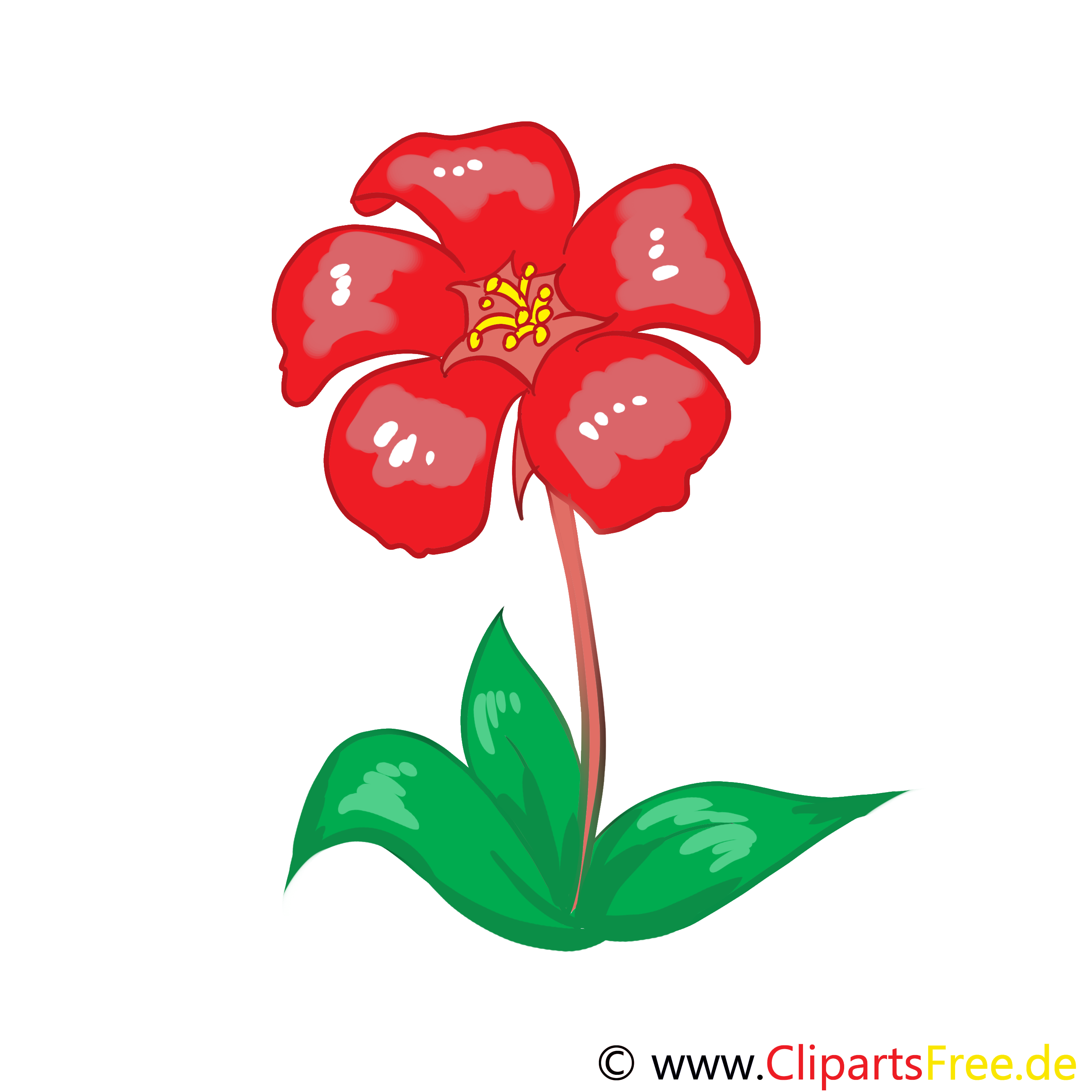 Dessin fleur rouge clip arts gratuits