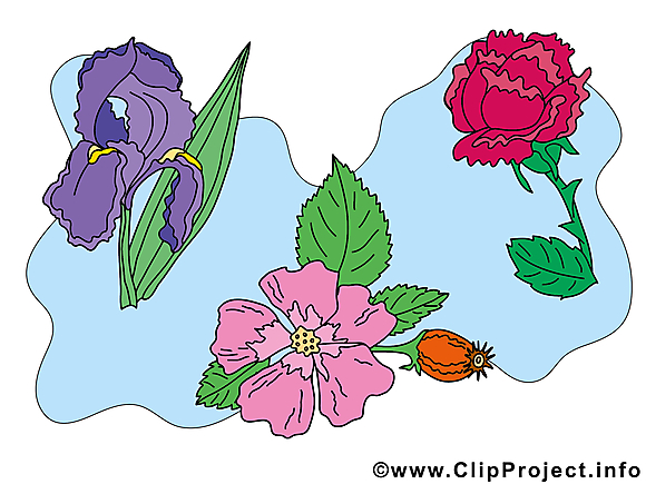 Fleurs clip art gratuit dessin