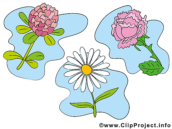 Fleurs dessin gratuit à télécharger image