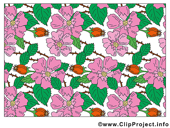 Fonds d'écran image – Fleurs images cliparts