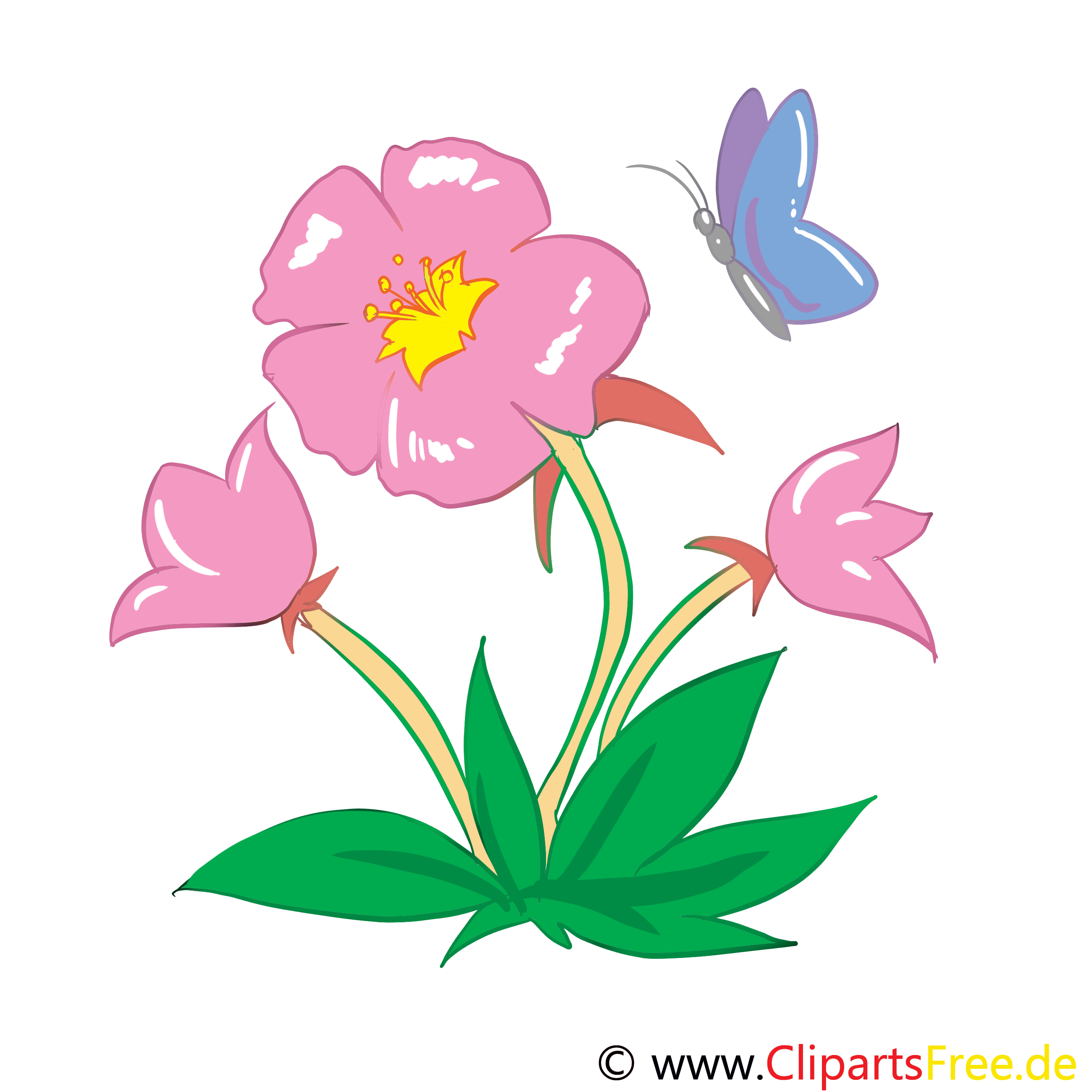 Guimauve image – Fleurs images cliparts