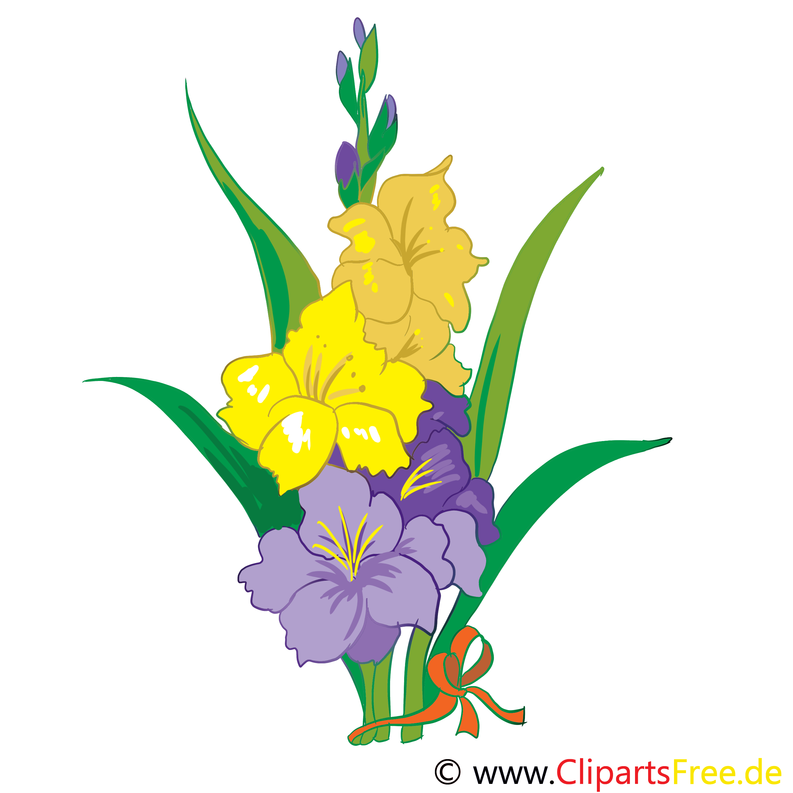 Hibiscus dessin à télécharger – Fleurs images