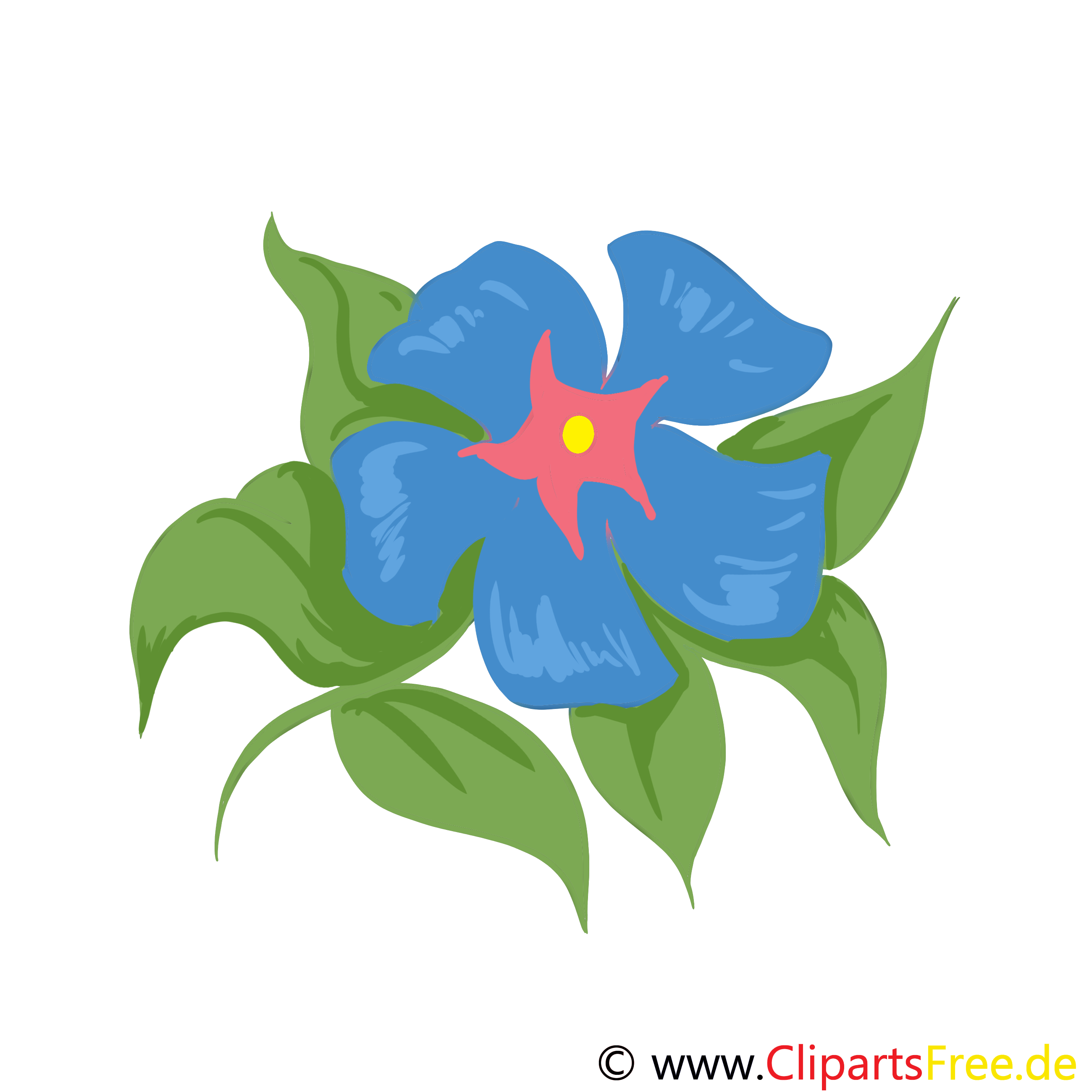 Illustration fleurs images gratuites à télécharger