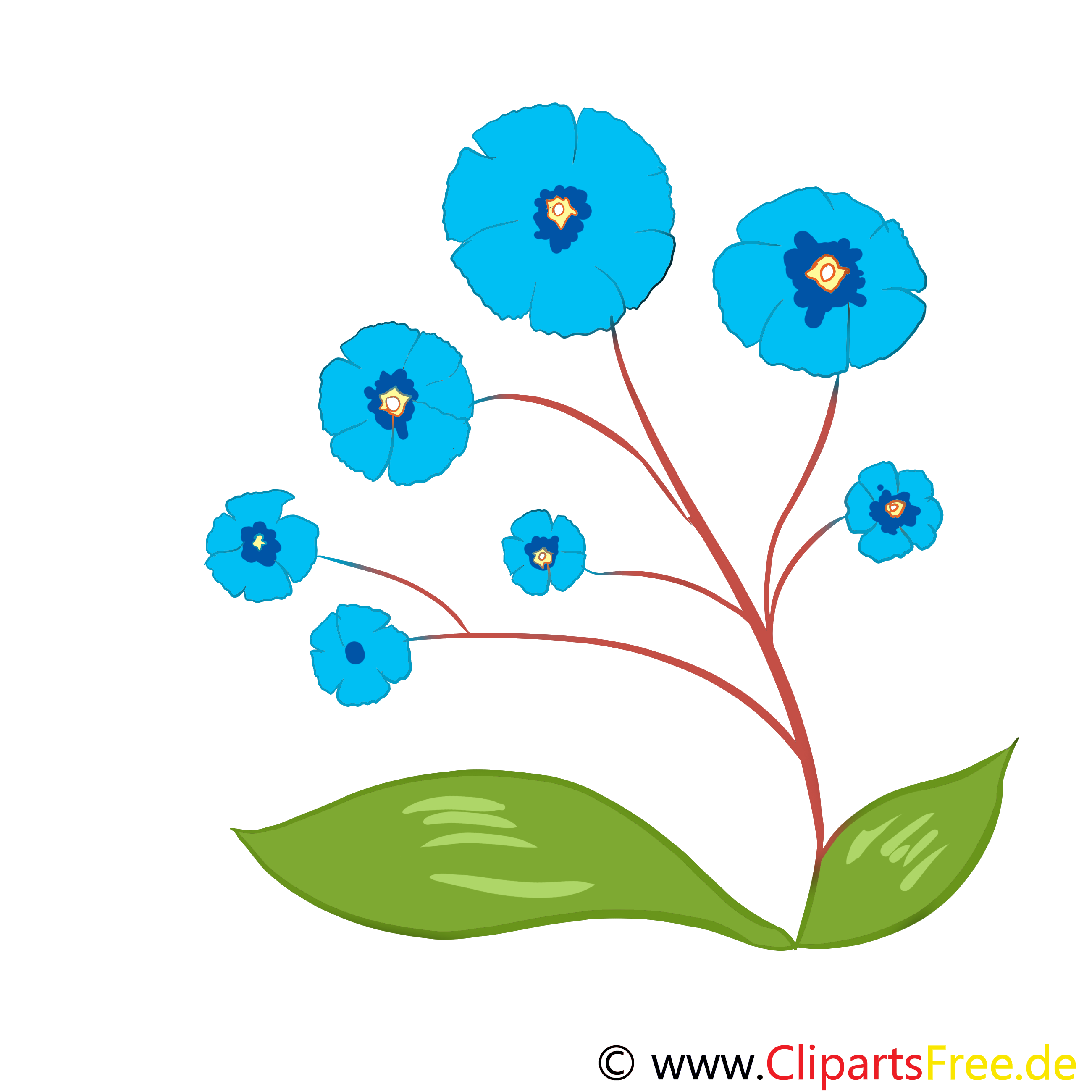 Images gratuites à télécharger fleurs clipart