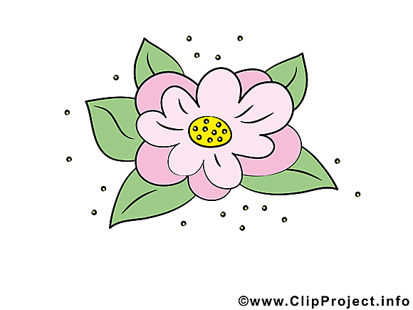 Lys image gratuite – Fleurs cliparts