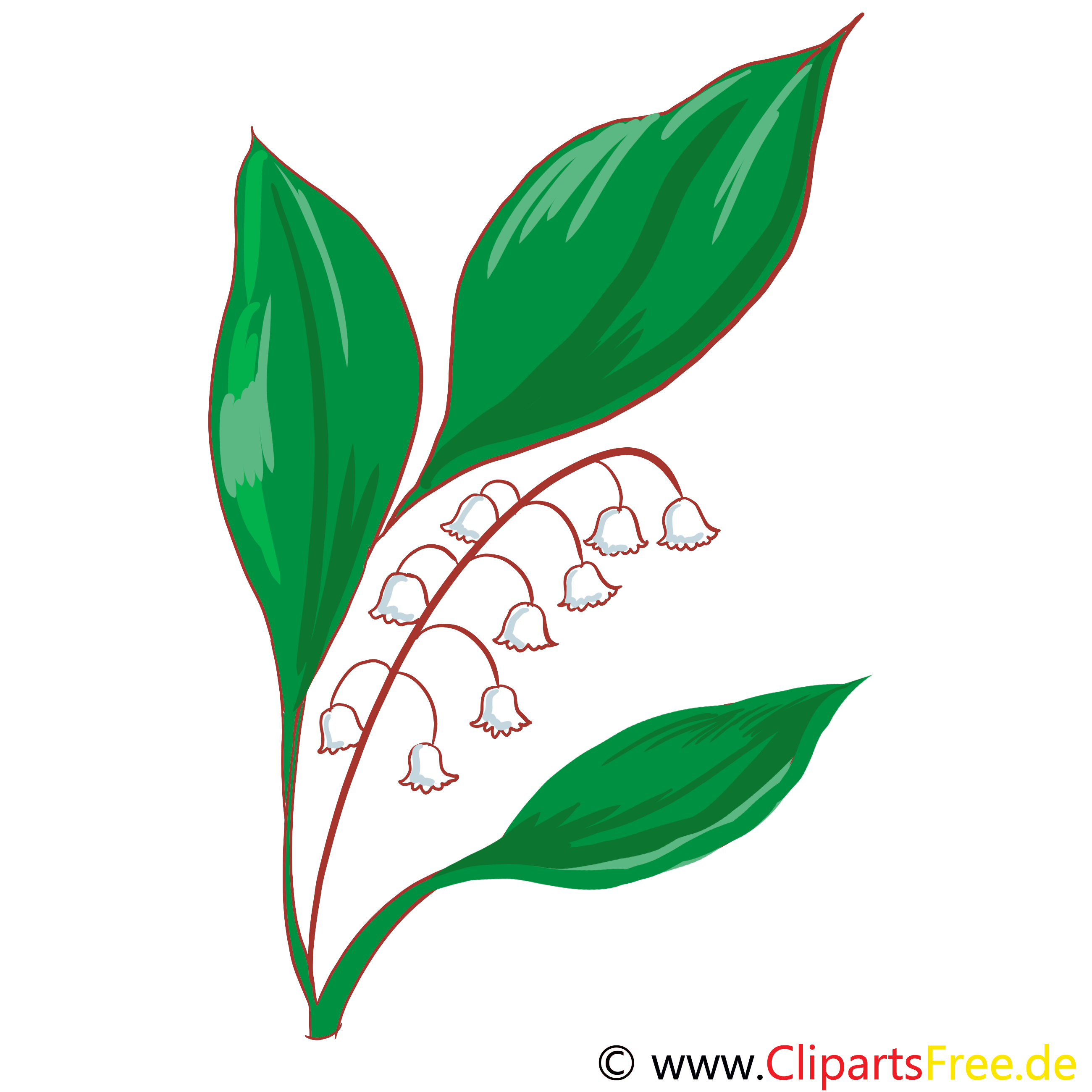 Muguet illustration gratuite – Fleurs clipart