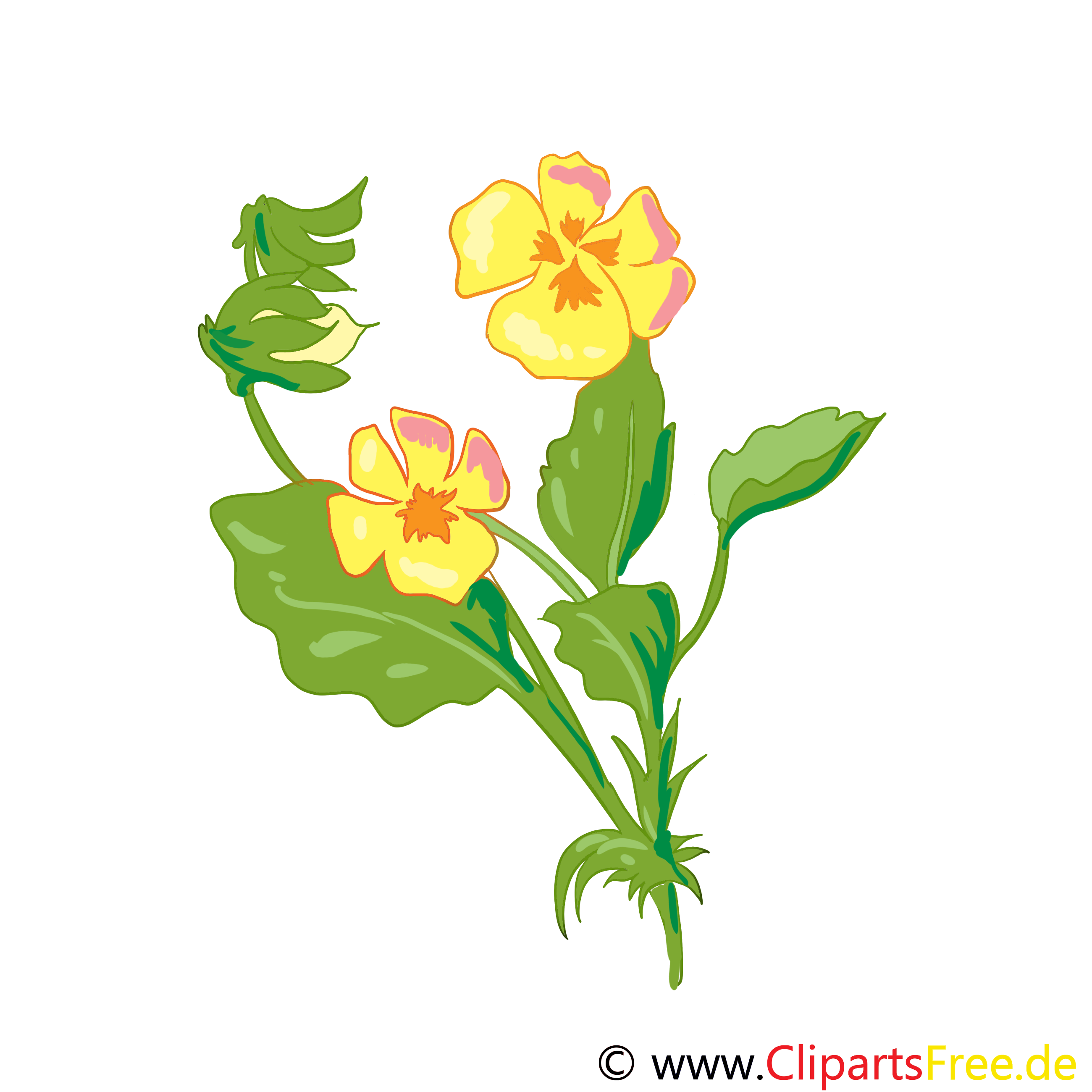 Pensée fleurs illustration à télécharger gratuite