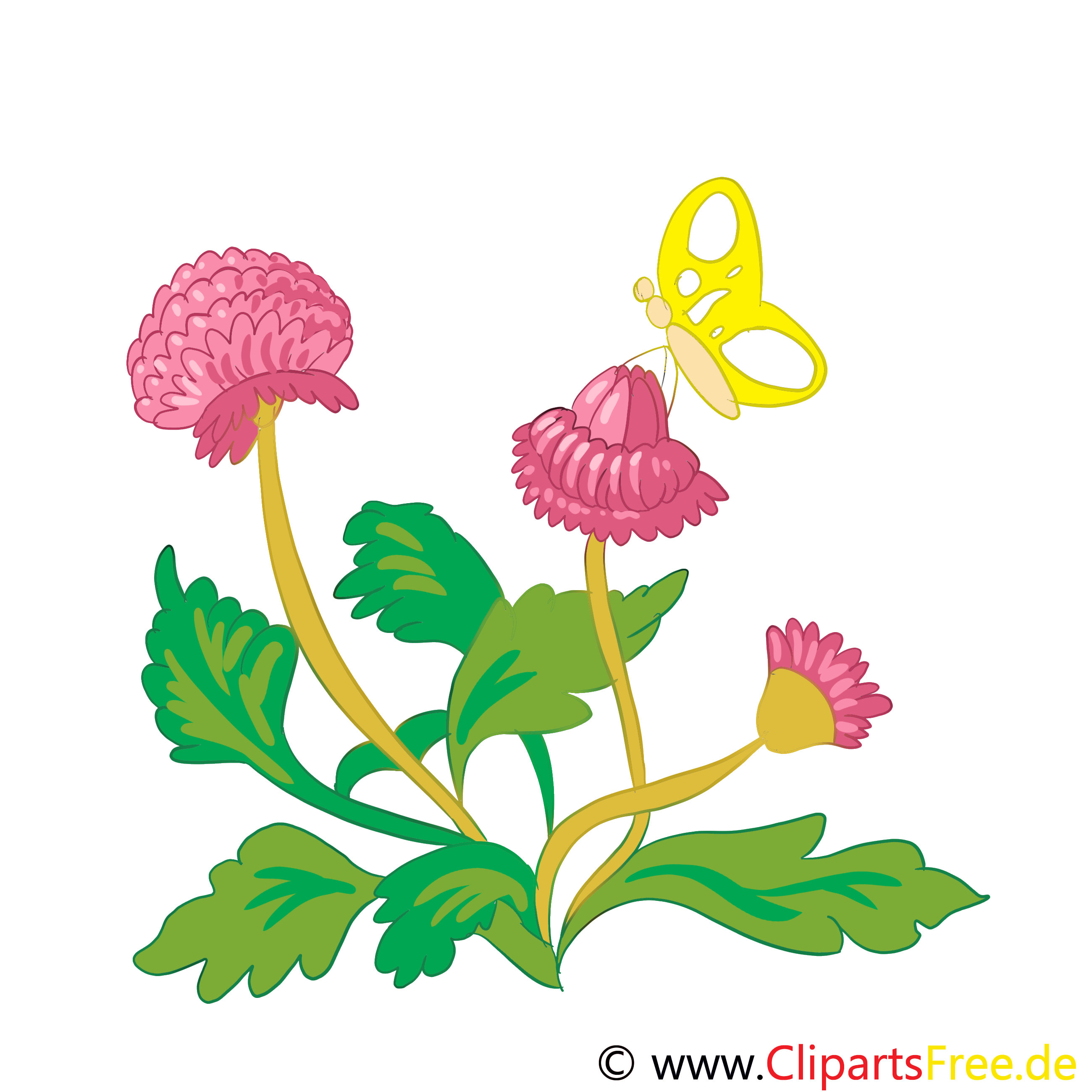 Trèfle clipart – Fleurs dessins gratuits